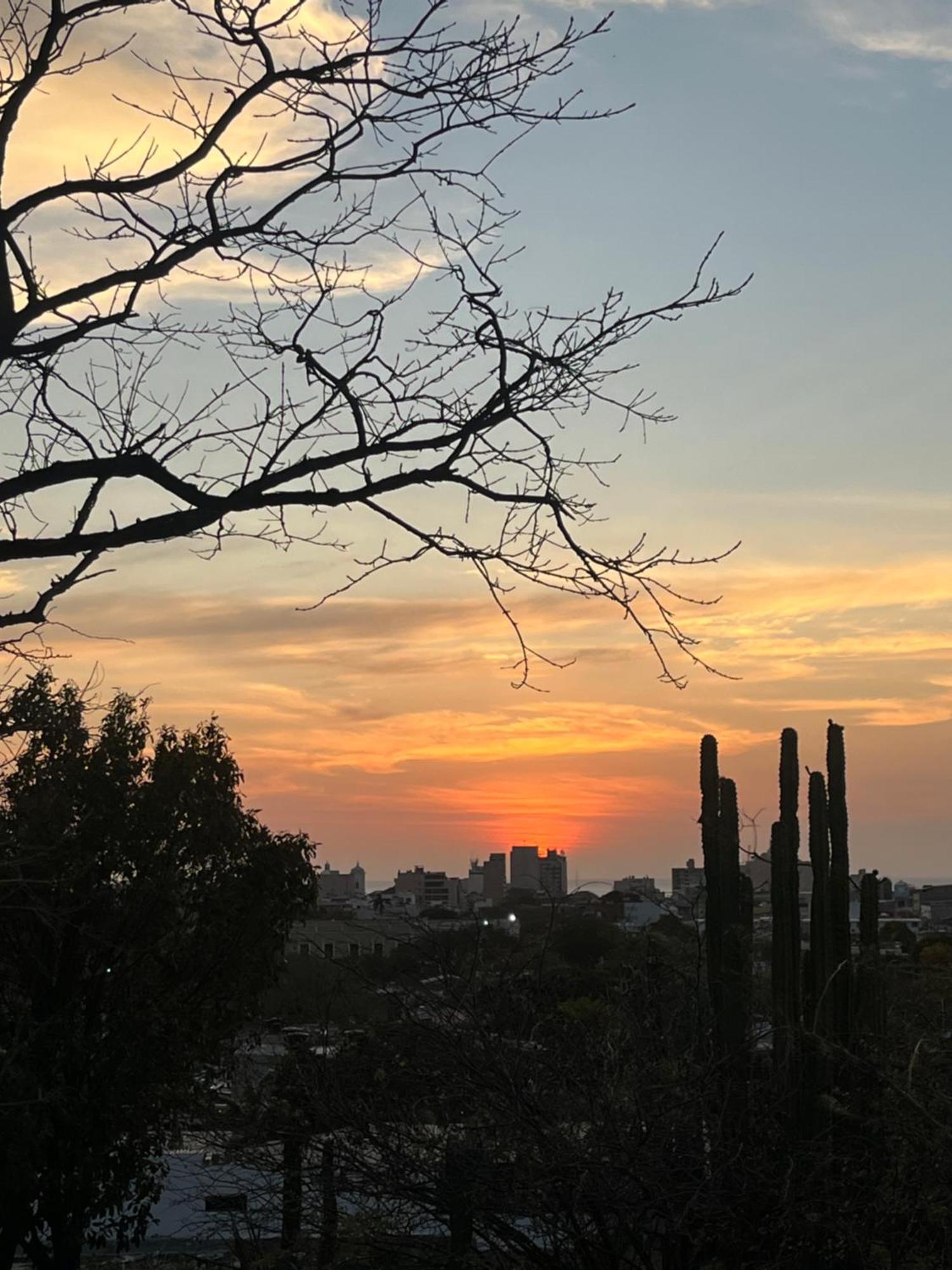Jardin Etnobotanico Villa Ludovica Santa Marta  Luaran gambar